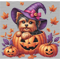 Halloween-WS 5714